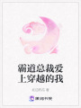霸道總裁愛上穿越的我