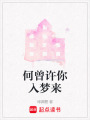 何曾許你入夢來