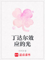 丁達(dá)爾效應(yīng)的光