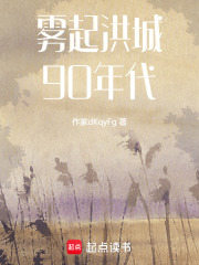 霧起洪城90年代