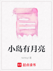 小島有月亮