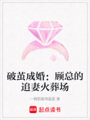 破繭成婚：顧總的追妻火葬場
