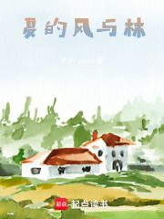 夏的風與林
