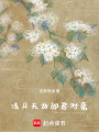 清月無敵，郎君附庸