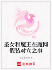 圣女和魔王在魔網假裝對立之事