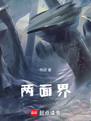 兩面界