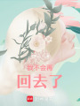 我不會(huì)再回去了