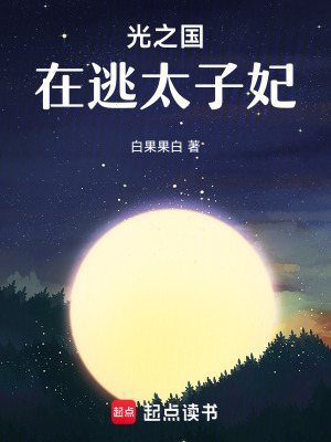光之國：在逃太子妃