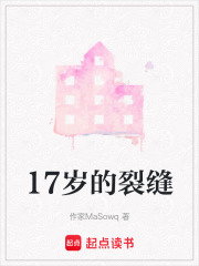 17歲的裂縫