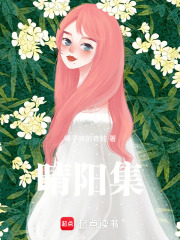 晴陽集