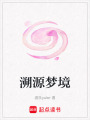 溯源夢境