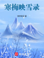 寒梅映雪錄