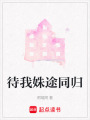 待我姝途同歸