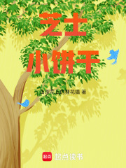 芝士小餅干