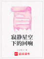 寂靜星空下的回響