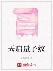 天啟量子紋