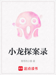 小龍探案錄