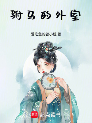 駙馬的外室