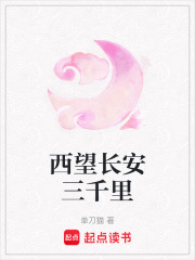 西望長安三千里