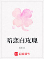 暗戀白玫瑰