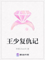 王少?gòu)?fù)仇記