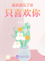 直到遇見了你，只喜歡你
