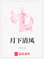 月下清風