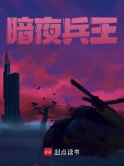 《暗夜兵王》无删减章节目录在线阅读