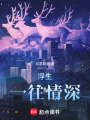 浮生：一往情深