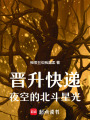 晉升快遞，夜空的北斗星光