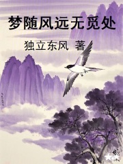夢隨風遠無覓處