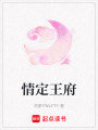 情定王府