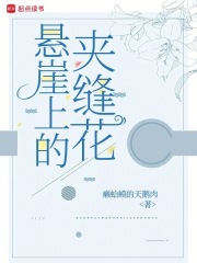 懸崖上的夾縫花
