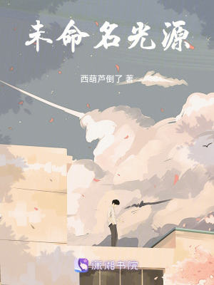 未命名光源