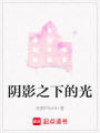陰影之下的光