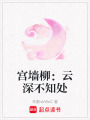 宮墻柳：云深不知處