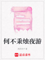 何不秉燭夜游