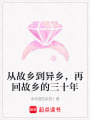 從故鄉到異鄉，再回故鄉的三十年