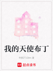 我的天使布丁