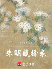 朱明藏鋒錄