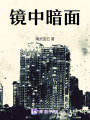 鏡中暗面
