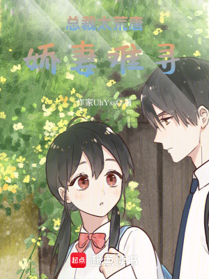 總裁太荒唐，嬌妻難尋