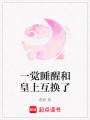 一覺睡醒和皇上互換了