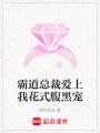 霸道總裁愛(ài)上我花式腹黑寵