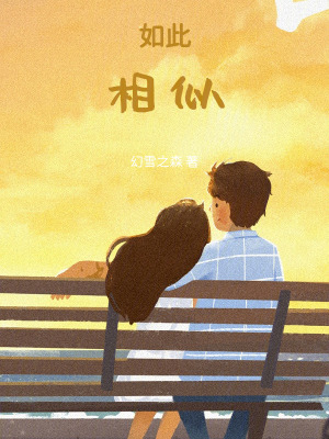 如此相似