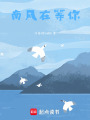 南風在等你