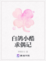白鴿小酷求偶記
