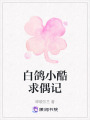 白鴿小酷求偶記
