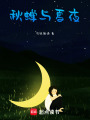 秋蟬與夏夜