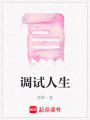調(diào)試人生